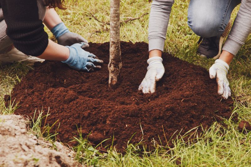 Dogwood Tree Planting in Ventura County, CA