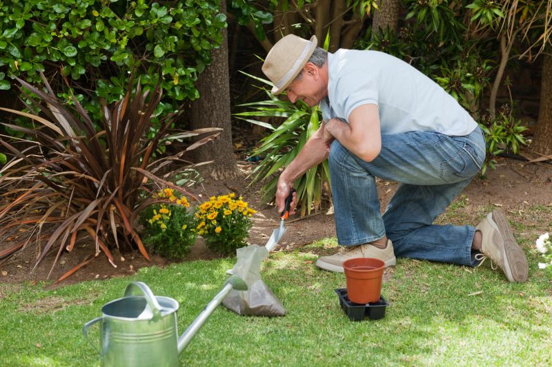 Small Garden Landscaping in Honolulu, HI